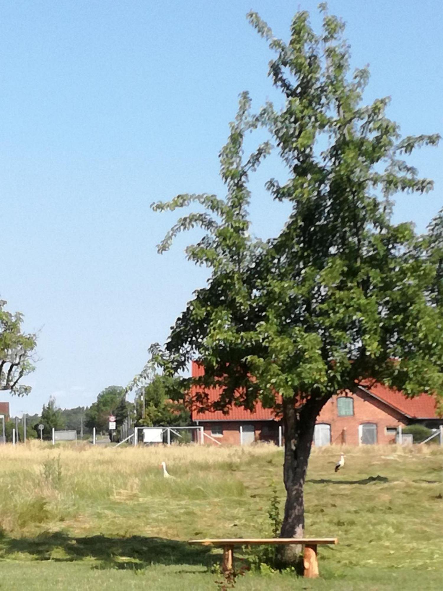 Besinndich Nebelin Exterior foto